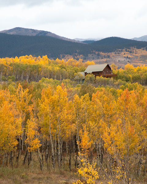 2023 Aspens - South Park, Colorado