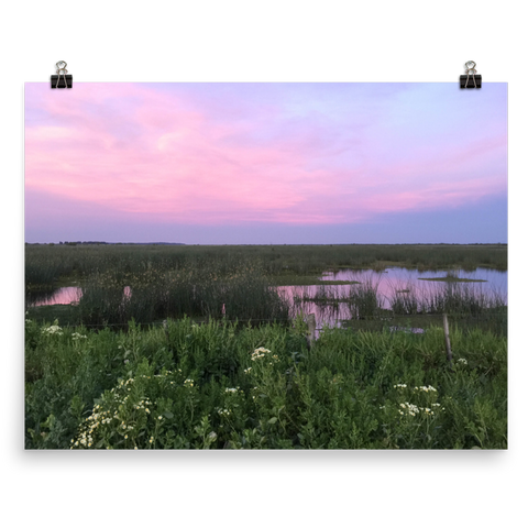 Landscape Prints