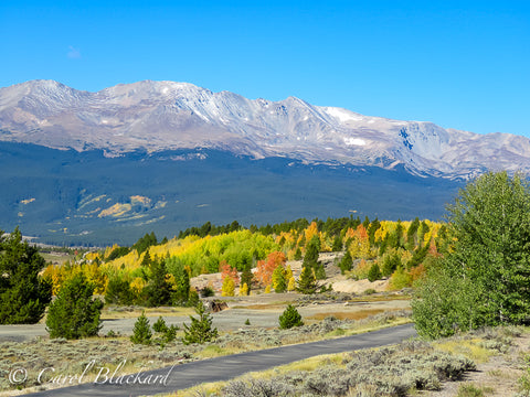 Mt Massive and changing aspen