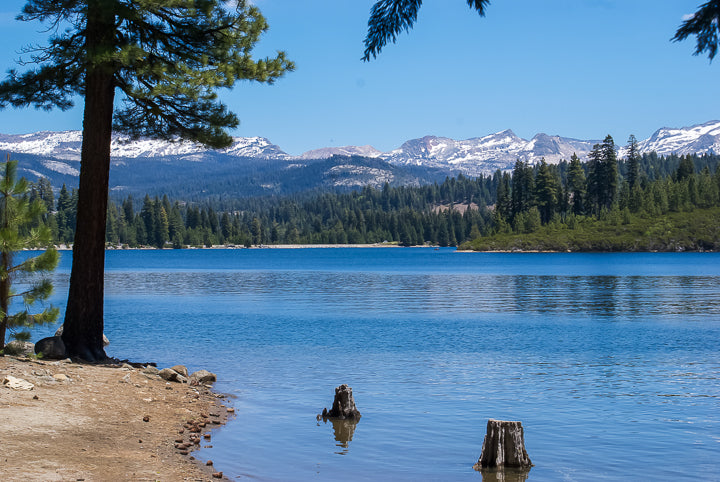 Ice House Reservoir California Landscape