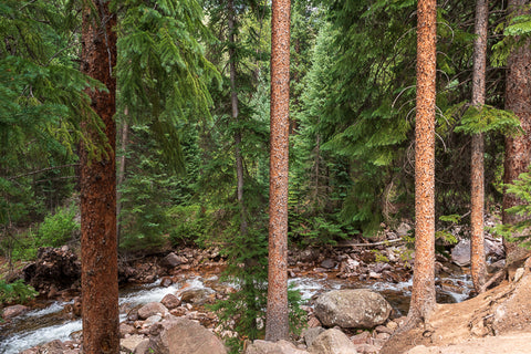 Colorado Gore Creek 1