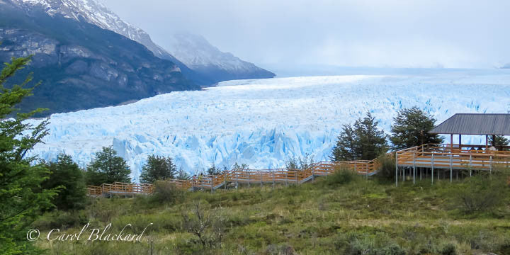 Glacier expanse with visitor walkway