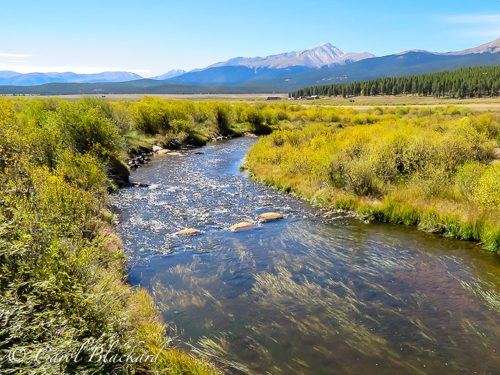 Rushing creek with yellow-green vegetation on banks, mountain range in background