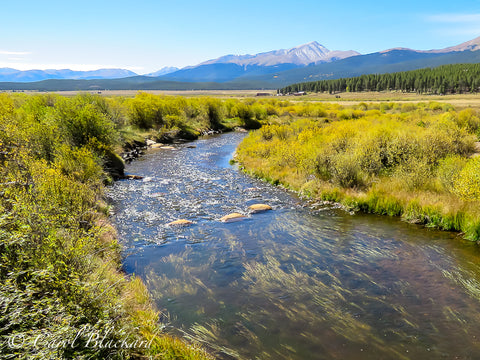 Rushing creek with yellow-green vegetation on banks, mountain range in background