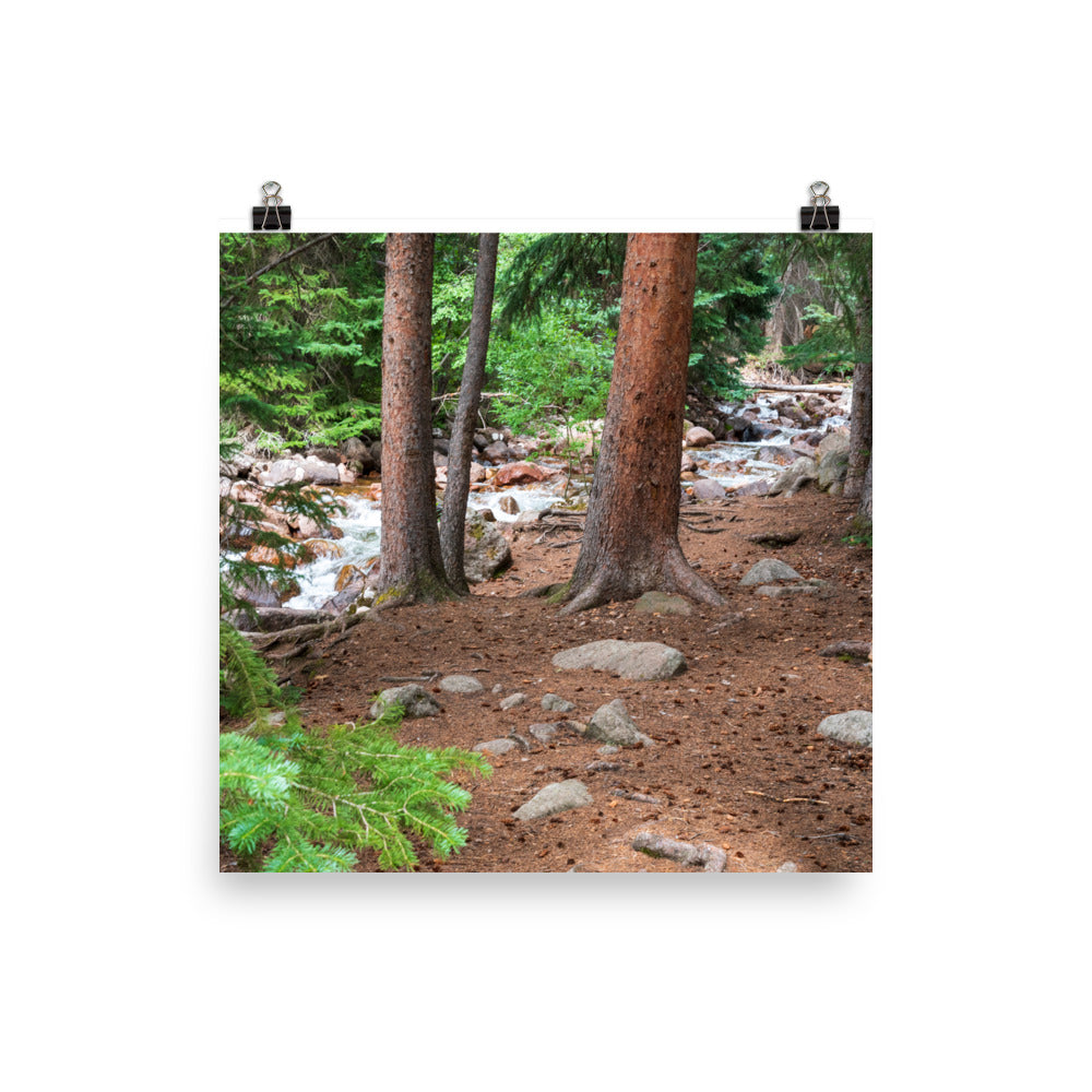 Photo print of Gore Creek, Colorado