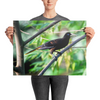 Crested Oropendola - print