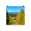 Mountain range with changing aspen in foreground - print