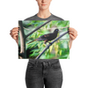 Crested Oropendola - print