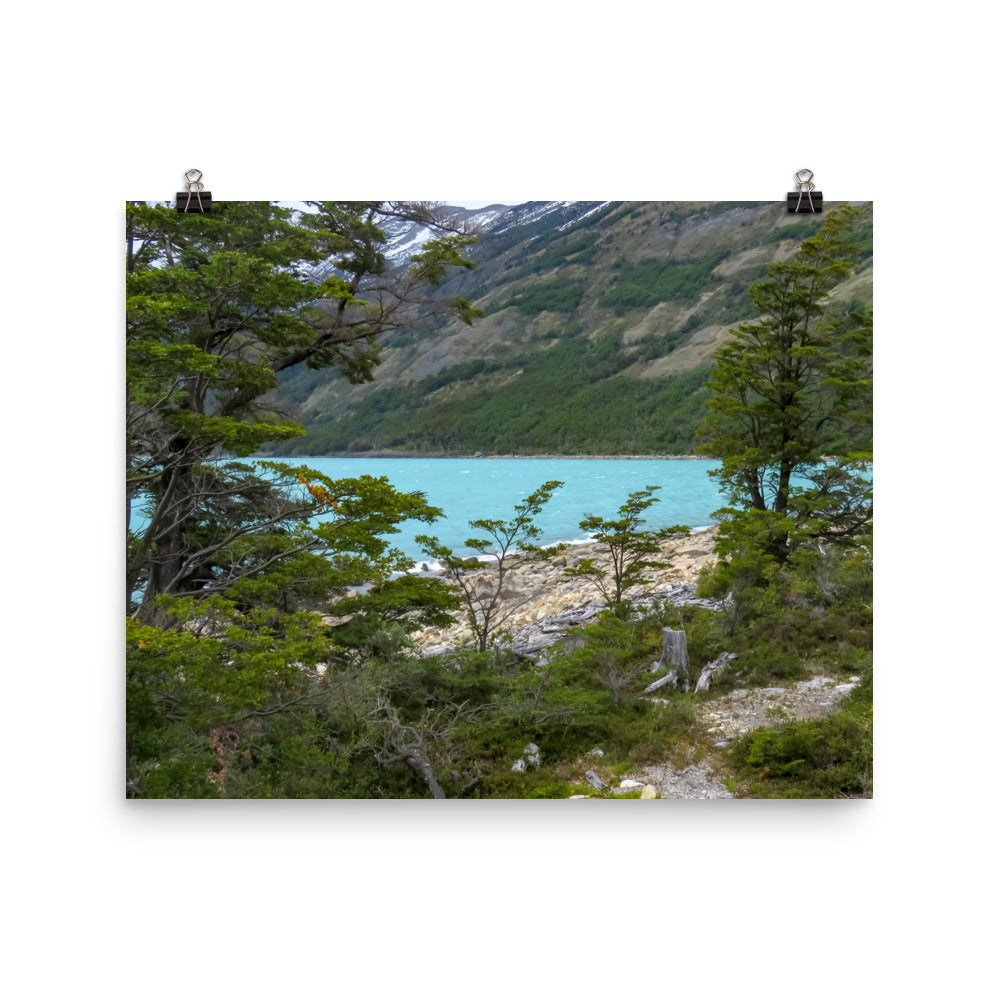 Turquoise glacier water and green trees - Print