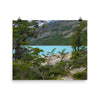 Turquoise glacier water and green trees - Print