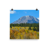 Mount Hope standing in a sea of aspens - print
