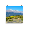 14,429 ft Mount Massive with changing aspen in foreground - Print