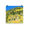 Fall aspen hillside near Leadville, Colorado - print