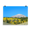 Mount Elbert with yellow aspens - print