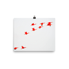 Scarlet Ibis flying in formation-print