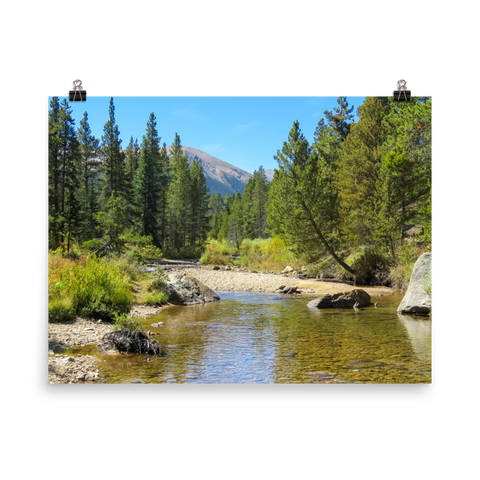 Peaceful mountain stream framed by pines and distant mountain  - print