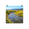 Rushing creek bordered with yellow-green foliage with Mount Elbert in background - print