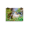Costa Hummingbird female incubating eggs on nest - print