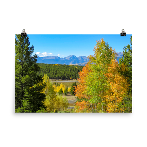 Mountain range with changing aspen in foreground - print