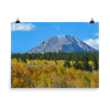 Mount Hope standing in a sea of aspens - print