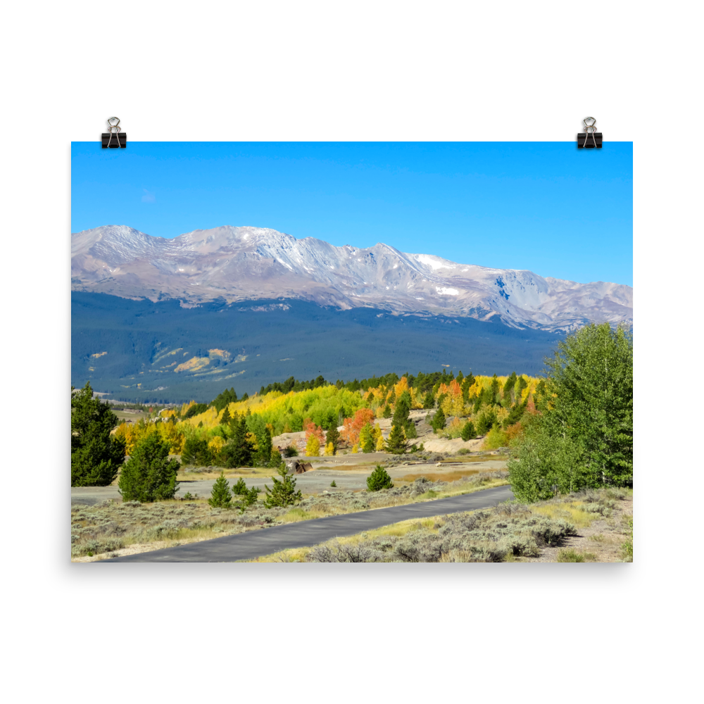 14,429 ft Mount Massive with changing aspen in foreground - Print