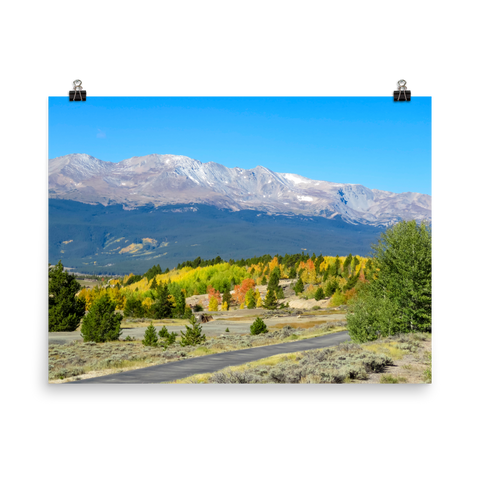 14,429 ft Mount Massive with changing aspen in foreground - Print
