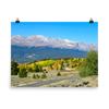 14,429 ft Mount Massive with changing aspen in foreground - Print