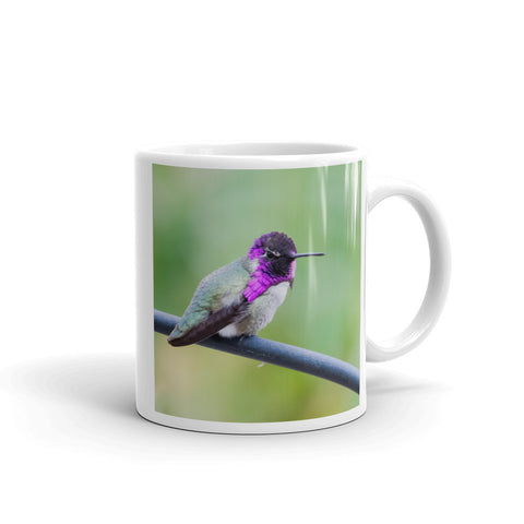 Costa Hummingbird Mug