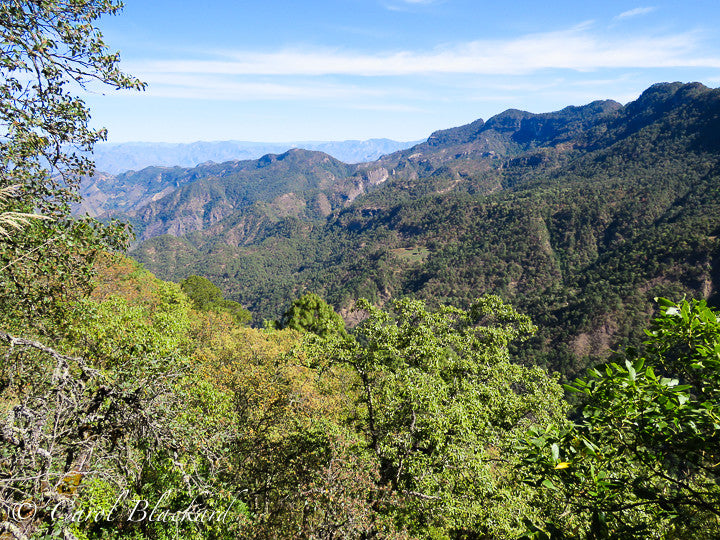 Mountain overlook