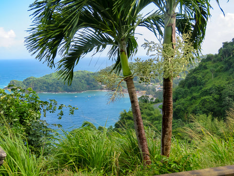 Tobago Landscape Download