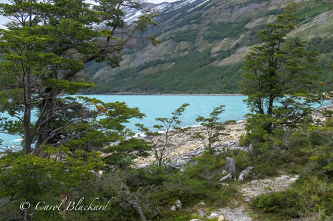 Rocky beach and turquoise water with green trees and mountainside