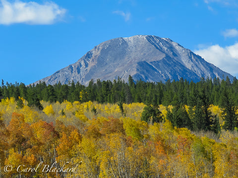 Tall rounded mountain with yellow and orange aspen in front.