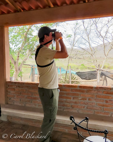 Guide looking at birds through binoculars