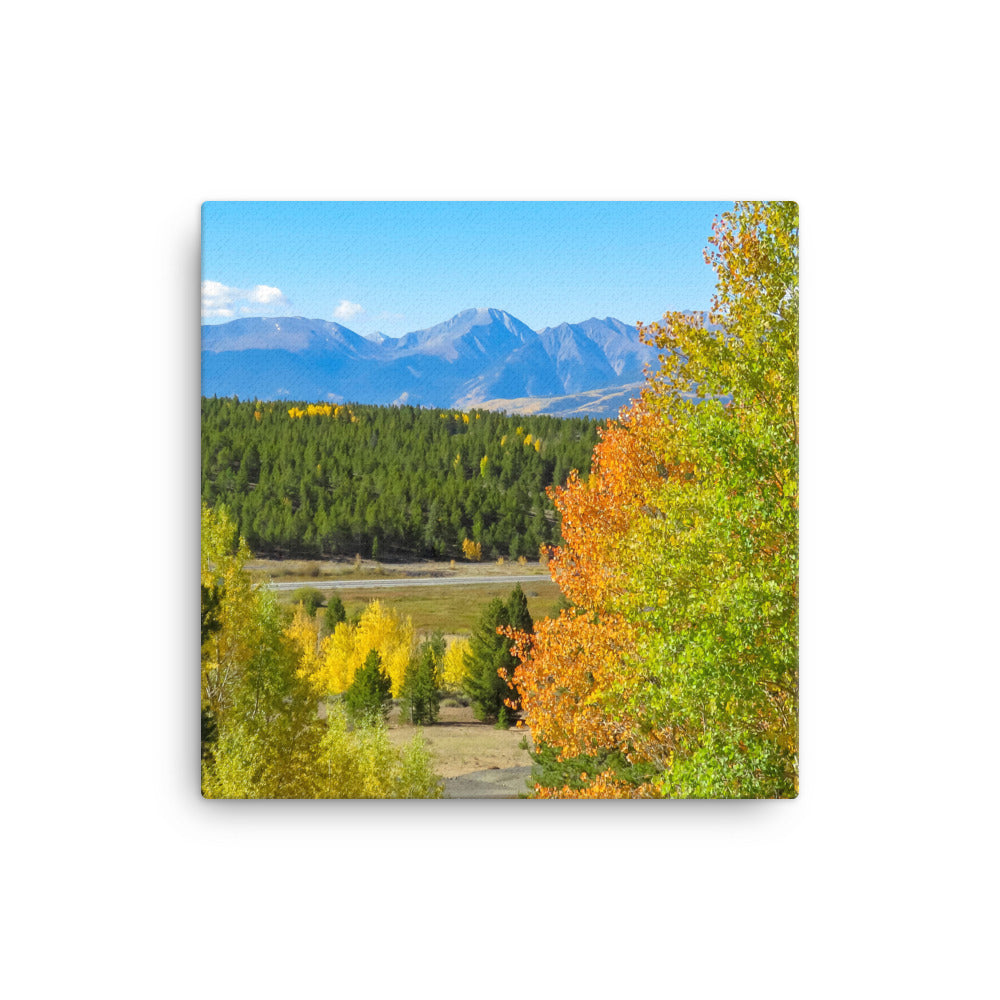 Canvas print of mountain range with changing aspens