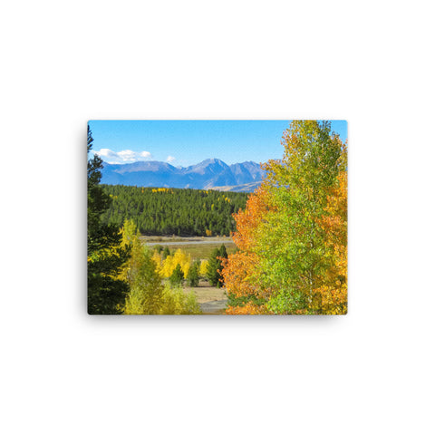 Canvas print of mountain range with changing aspen