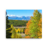 Canvas print of mountain range with changing aspen