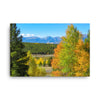 Canvas print of mountain range with changing aspen