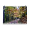 Virginia Fall Forest - Photo print