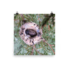 Hummingbird nestling and egg in nest - print