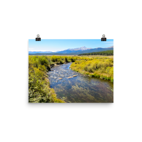 Rushing creek bordered with yellow-green foliage with Mount Elbert in background - print