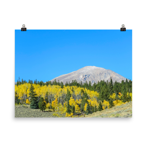 Mount Elbert with yellow aspens - print