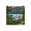 Turquoise glacier water and green trees - Print