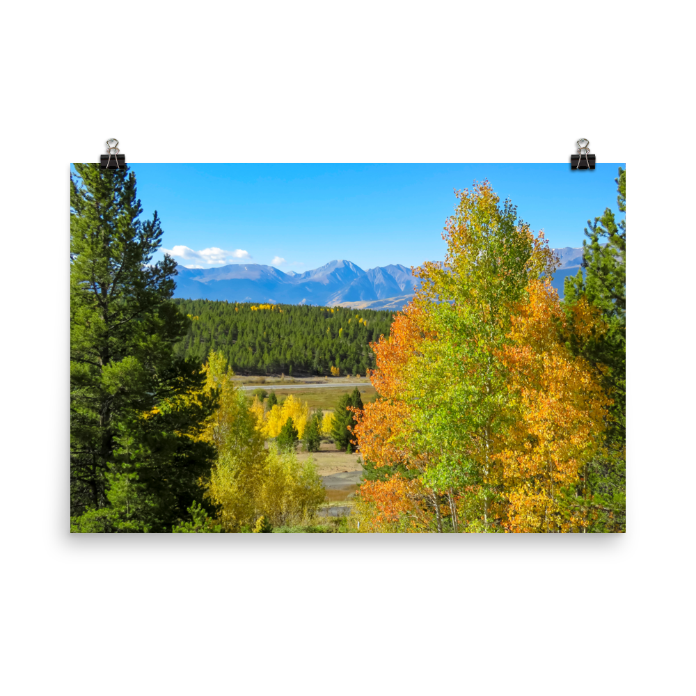 Mountain range with changing aspen in foreground - print