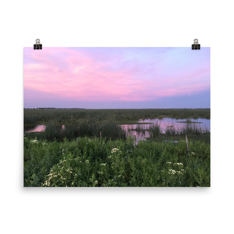 Beautiful soft pink and blue sunset over reflective water - Print