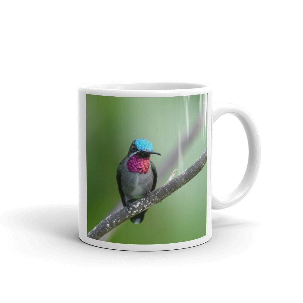 Beautiful Hummingbird Mug